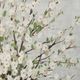 Stylecraft Fresh Pale Blooms I Beige/Green Wall Art-1