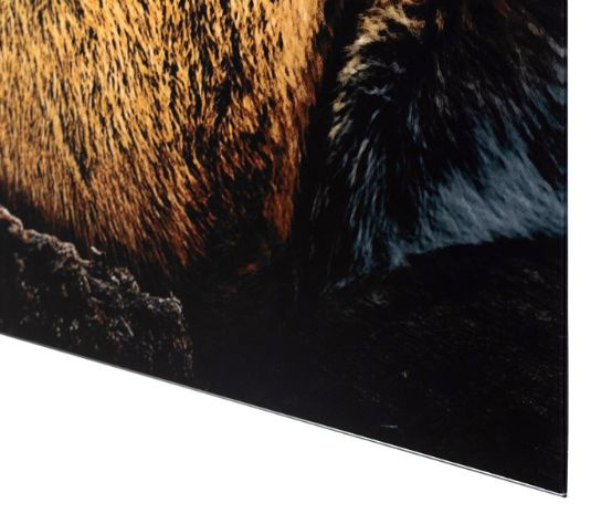 YHD Tigris II Wall Art-4