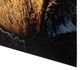 YHD Tigris II Wall Art-4