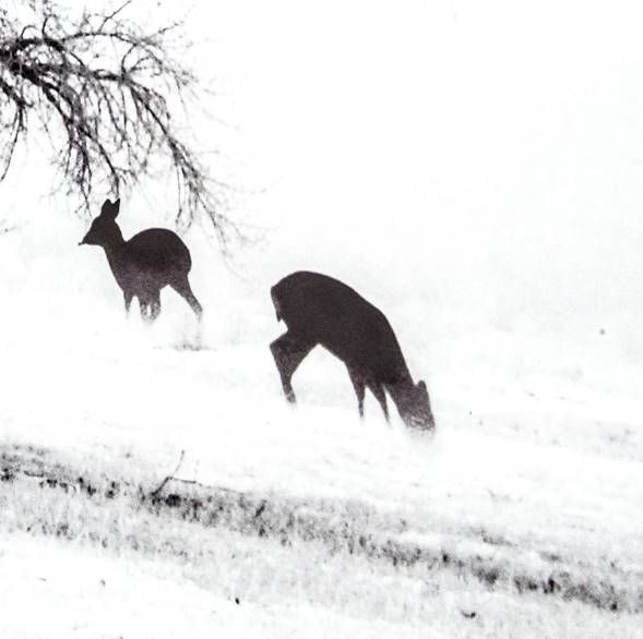 YHD Winter's Morning Fog IV Wall Art-3