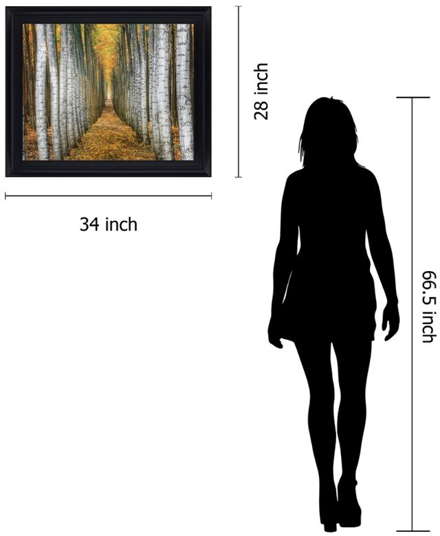 Classy Living Golden Birch Passage Wall Art-1
