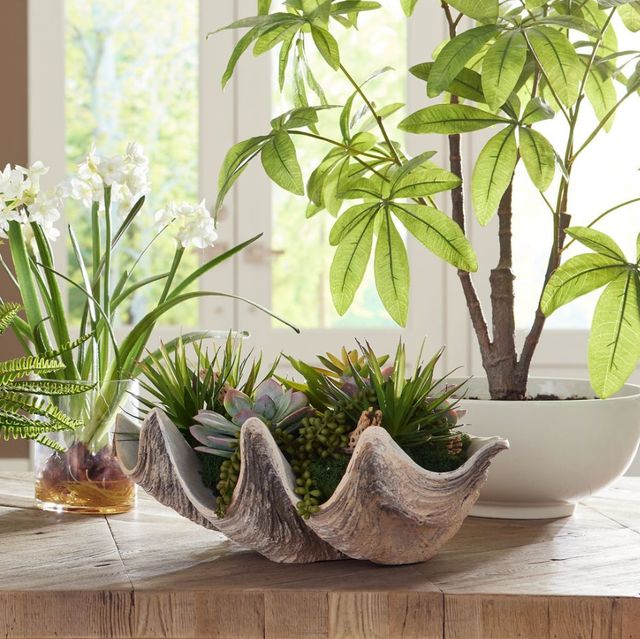 Uttermost® Seaside Breeze Green Succulents-1