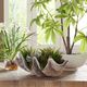 Uttermost® Seaside Breeze Green Succulents-1