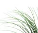 A & B Home Green Ornamental Potted Grass-2