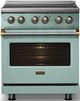 Viking® 5 Series 30" Splash Pro Style Induction Range with Brushed Brass Trim-4