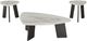 Signature Design by Ashley® Lilyberg 3-Piece Gray Occasional Table Set with Black Base-1