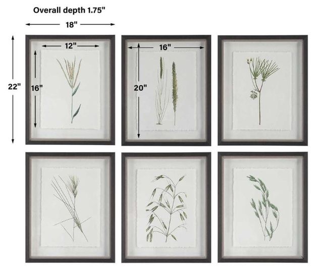 Uttermost® Forest Finds 6-Piece Framed Print Set-2