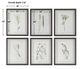 Uttermost® Forest Finds 6-Piece Framed Print Set-2