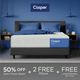 Casper® Dream 12" Hybrid Medium Firm Tight Top Queen Mattress in a Box-0