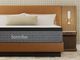 Nealden Plush Split Head Queen Mattress-0