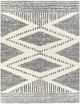 Surya Deluxe Shag Cream/Charcoal 5'x7' Area Rug-0