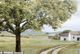 Stylecraft Sheltered Road Brown/Green/Off-White Wall Art-1