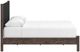 Signature Design by Ashley® Cadmori Brown Queen Upholstered Panel Bed-3