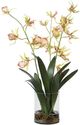 Uttermost® Spider Green/Yellow Orchid-5