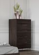 VIG Furniture Nova Domus Benzon Dark Walnut Chest-1