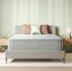 BeautySleep® Soothing Nights 16" Pocketed Coil Plush Pillow Top Twin XL Mattress in a Box-0