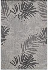 Gray Palms