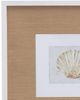 Bassett Mirror Neutral Shell Fresco lV Framed Print-1