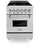 ZLINE 24" Stainless Steel Pro Style Dual Fuel Range-0
