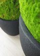 Le Present Sandstone Helmet Black 16" Planter-3