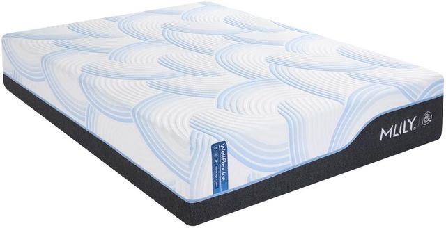 MLILY® Wellflex Ice 3.0 Memory Foam 14" Plush Tight Top Queen Mattress in a Box