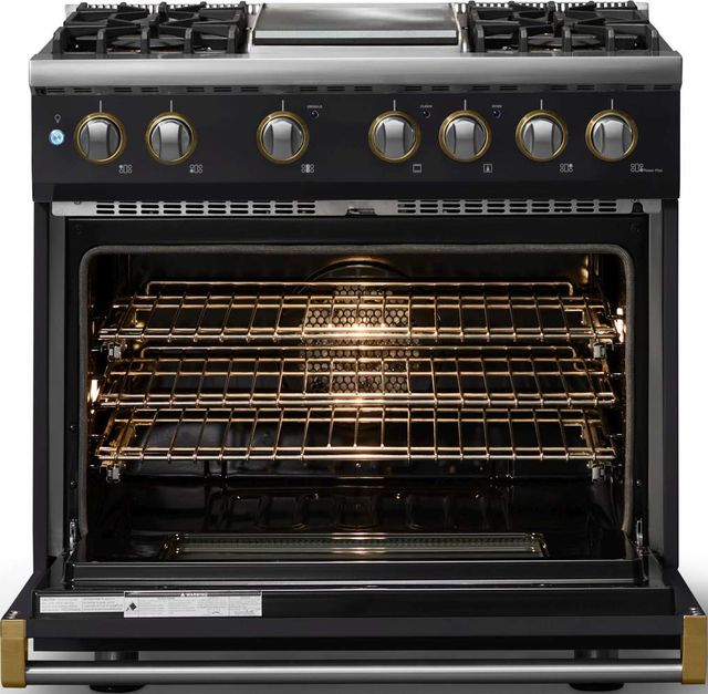 Viking® 5 Series 36" Onyx Pro Style Dual Fuel (NG) Range with Brushed Brass Trim-1