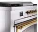 Ilve® Nostalgie II Noblesse 60'' Stainless Steel Pro Style Dual Fuel Range with Brass Trim-4