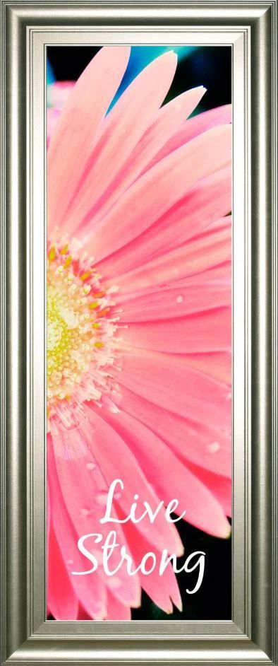 Classy Art Pink Live Strong Daisy by Susan Bryant Framed Print Wall Art-1