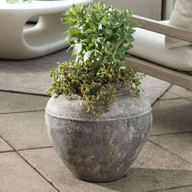 Uttermost® Echoes of Time Whitewash Concrete Indoor-Outdoor Planter-1