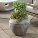 Uttermost® Echoes of Time Whitewash Concrete Indoor-Outdoor Planter-1