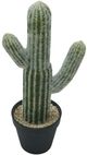 A & B Home Green Potted Faux Saguaro Cactus-0