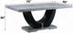 ACME Furniture Caralin Gray Rectangular Dining Table with Black Base-2