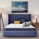 Serta® Five Star Dream Haven 8" Wrapped Coil Medium Tight Top Queen Mattress in a Box-3
