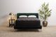 iAmerica Ashland 2.0 Wrapped Coil 15" Medium Tight Top Queen Mattress-4