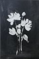 Stylecraft Black/White Wall Art-1