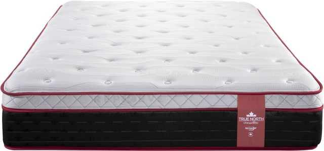 True North Chiropractic Pelee Queen Wrapped Coil Euro Top Plush Mattress-2