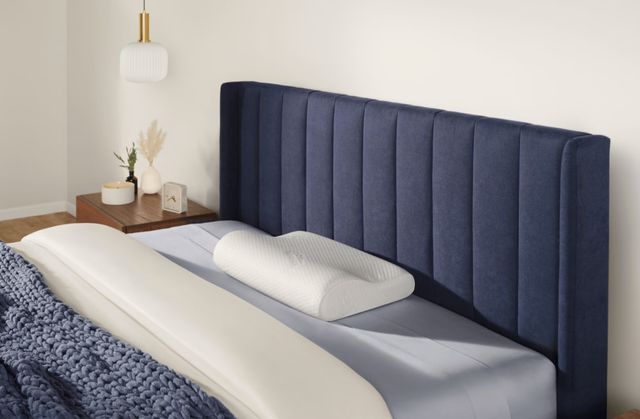 Tempur-Pedic® TEMPUR-Neck™ Medium Pillow-1