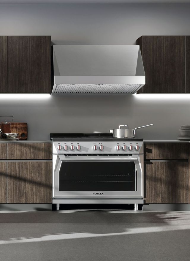 Forza™ 48" Stainless Steel Professional Wall Mounted Range Hood-3