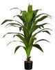Monarch Specialties Inc. Black 47" Artificial Potted Dracaena Tree-0