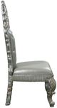 ACME Furniture Sandoval 2-Piece Champagne Side Chair Set-3