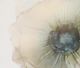 Stylecraft Beige/White Wall Art-1