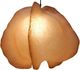 Dovetail Furniture Juniperly Ochre Small Pendant Light-1