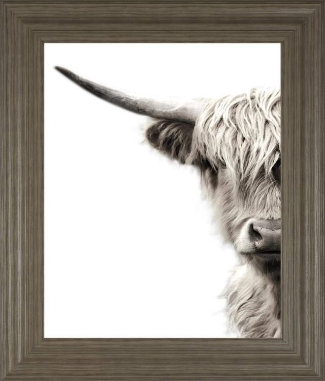 Classy Art Highland Cattle by Danita Delimont Wall Art-0