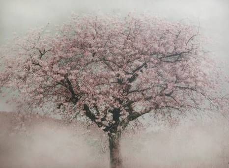 Stylecraft Beige/Gray/Pink Wall Art-1