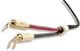McIntosh® 2 Meter Speaker Cable-1