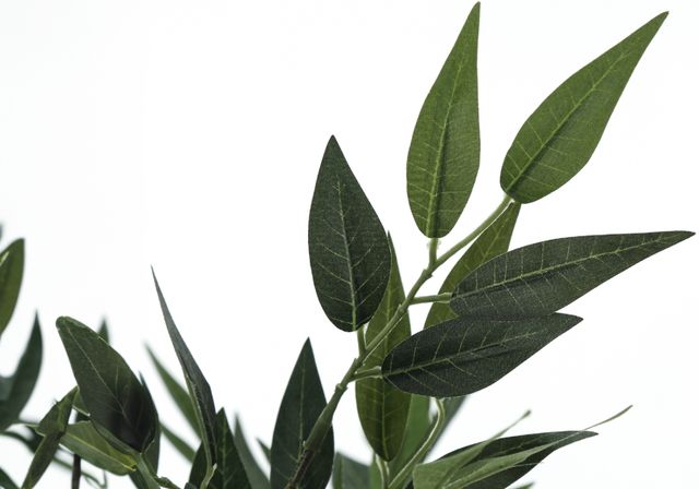 Monarch Specialties Inc. Black 47" Artificial Potted Acacia Tree-2