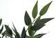 Monarch Specialties Inc. Black 47" Artificial Potted Acacia Tree-2