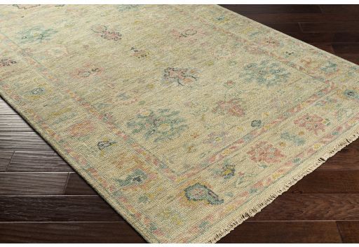 Surya Biscayne Multi-Color 6'x9' Area Rug-4