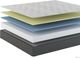 Sherwood® Bedding XXV Selene Ocho 8" Gel Memory Foam Medium Firm Tight Top Queen Mattress in a Box-3