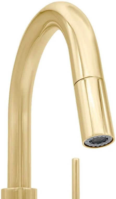 ZLINE Autograph Edition Dante Polished Gold Pull Down Single Handle Kitchen Faucet-2